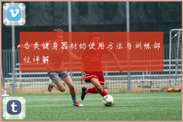 各类健身器材的使用方法与训练部位详解
