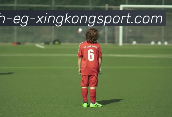 星空体育服务体系